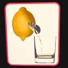Funky Buddha Stianless Steel Citrus Juicer